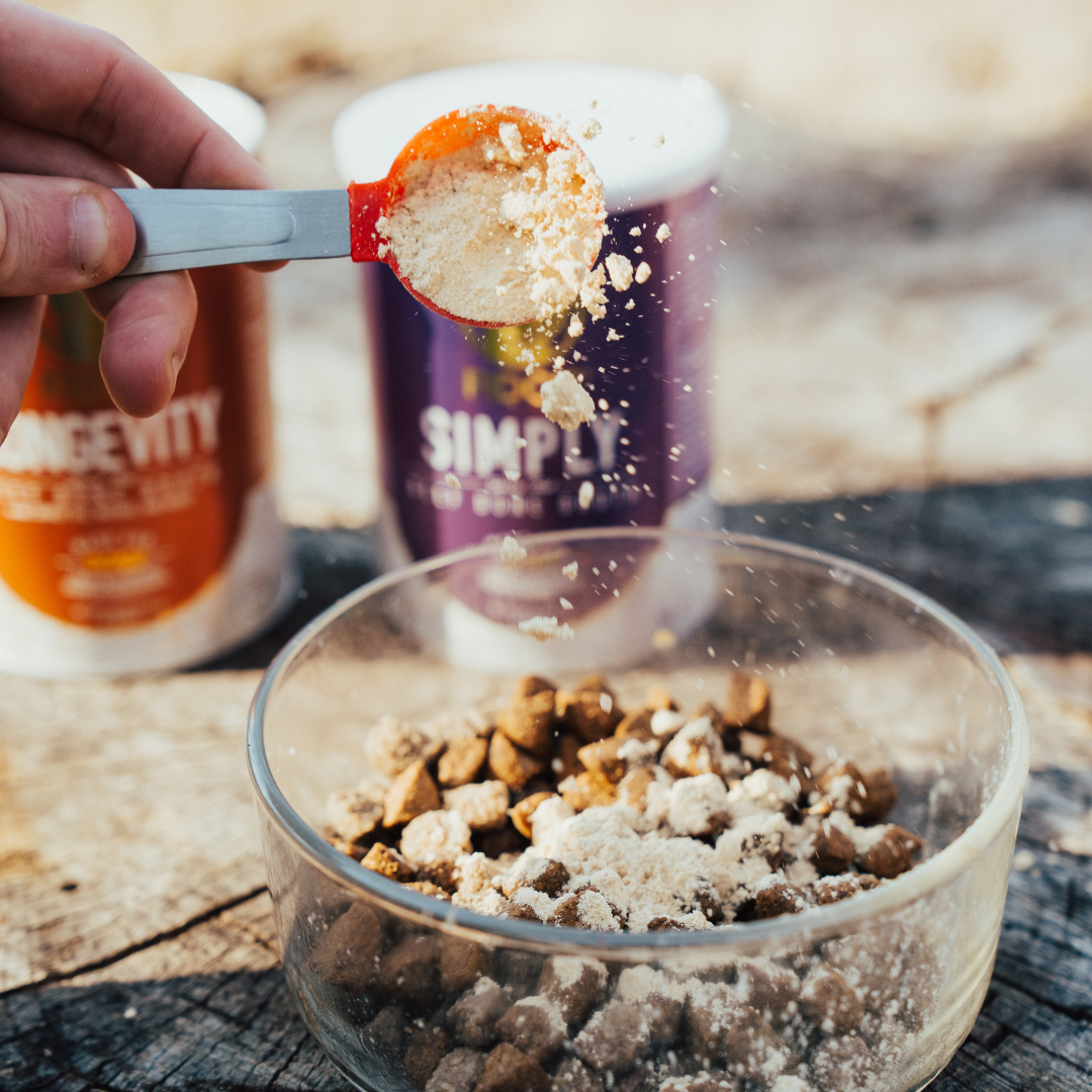 Liquid or Powdered Bone Broth?