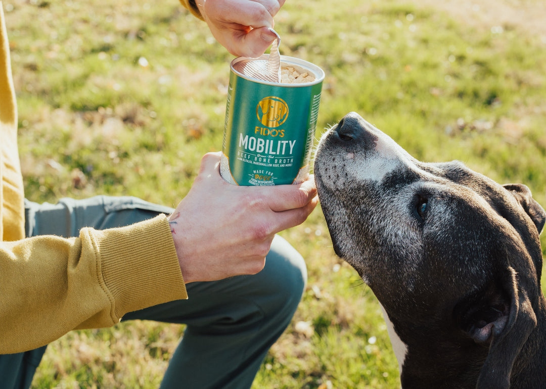 Enhance your Dog's Mobility with our Bone Broth