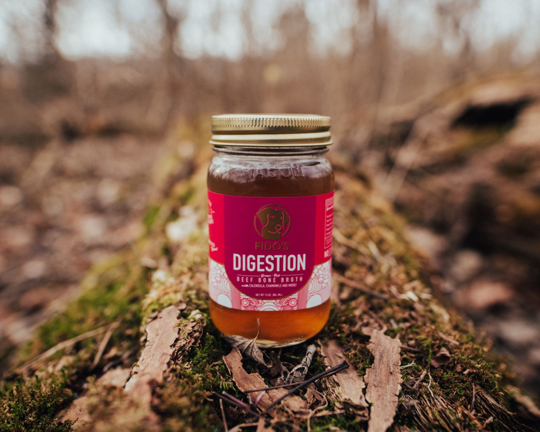 Support Your Dog’s Digestion with Our Digestion Bone Broth