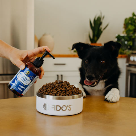 Omega-3 Fish Oil for Dogs