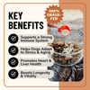 Longevity Mushroom Blend for Dogs
