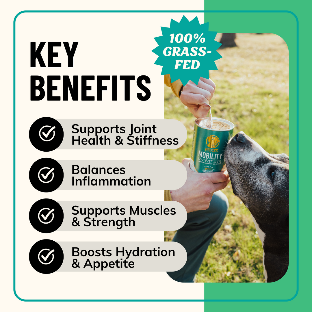 Mobility Herbal Blend for Dogs
