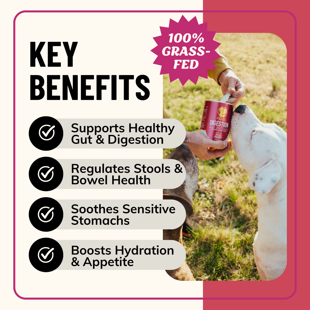 Digestion Herbal Blend for Dogs