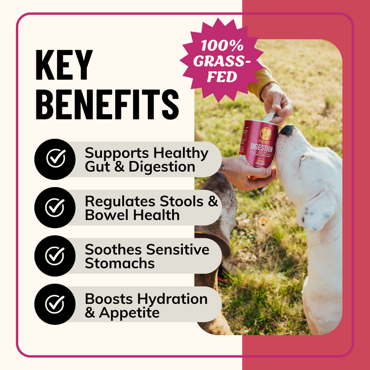 Digestion Herbal Blend for Dogs