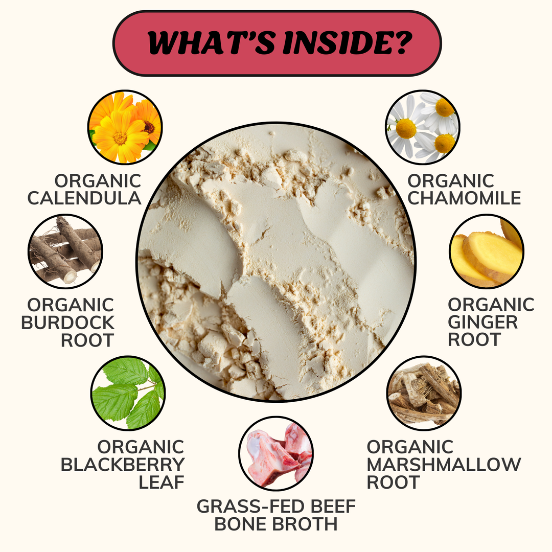 Digestion Herbal Blend for Dogs