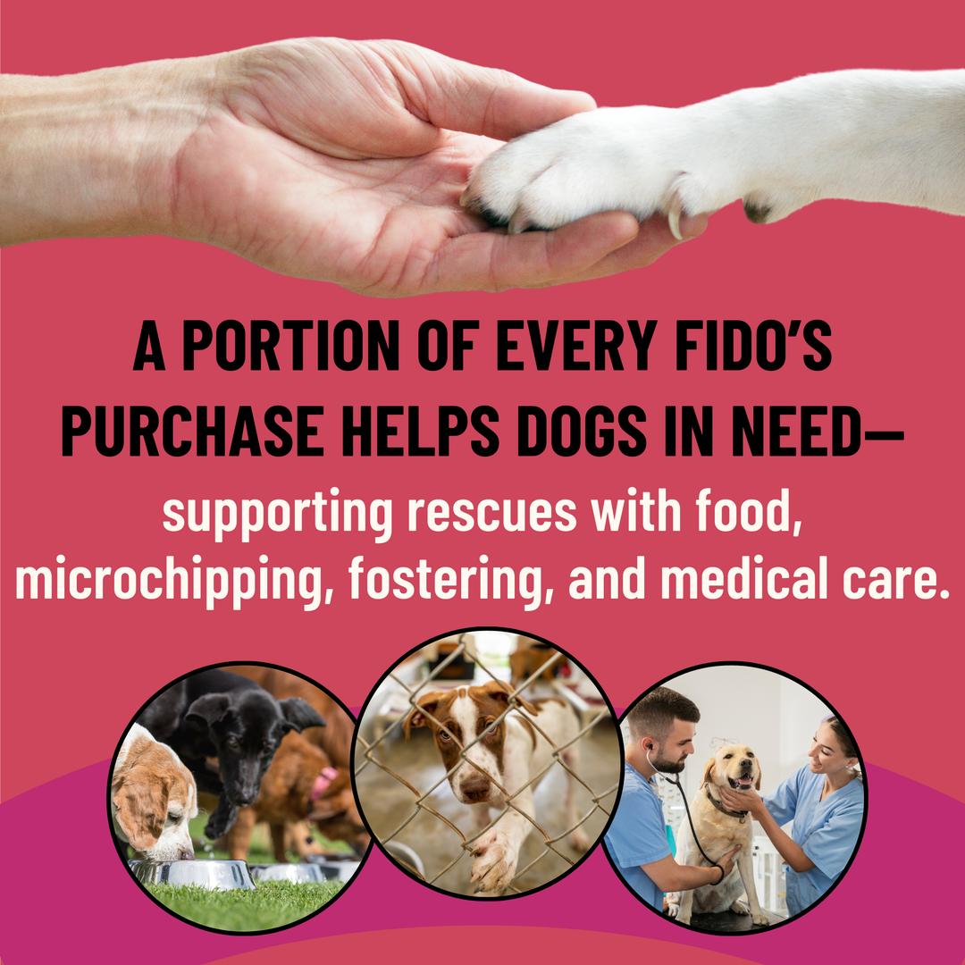 Digestion Herbal Blend for Dogs