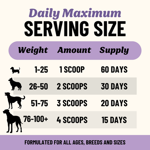 Simply Beef Bone Broth Powder