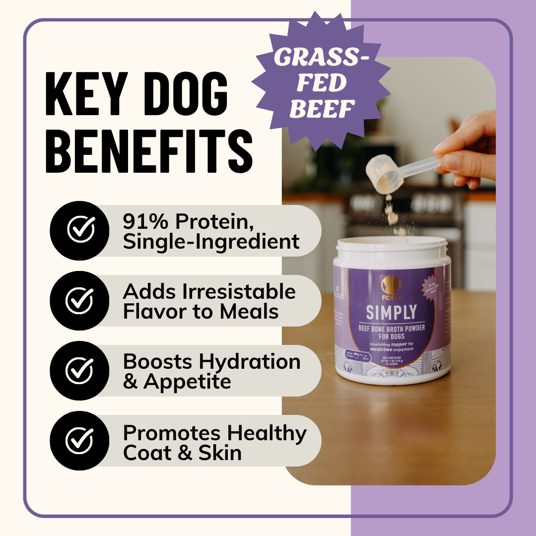 Simply Beef Bone Broth + Frother Bundle