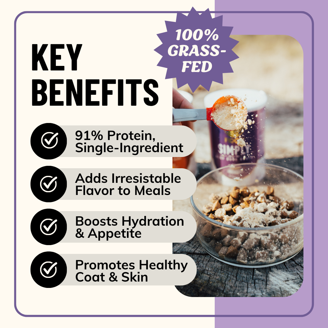 Simply Beef Bone Broth Powder for Dogs