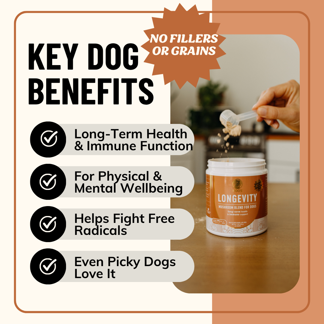 Longevity Mushroom Blend for Dogs