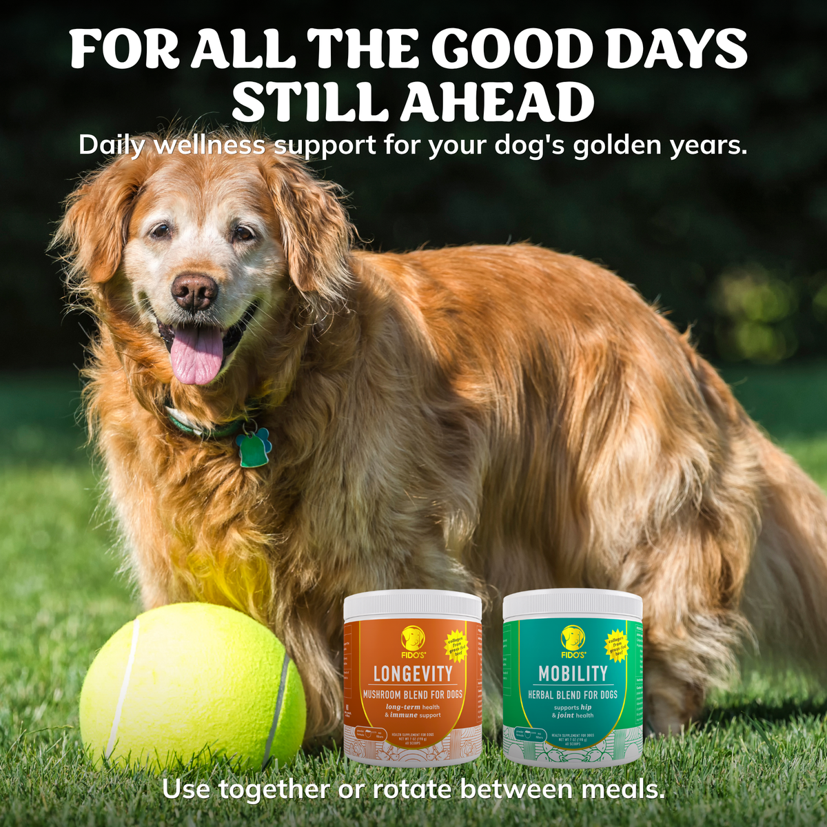 Senior Dog Wellness Bundle