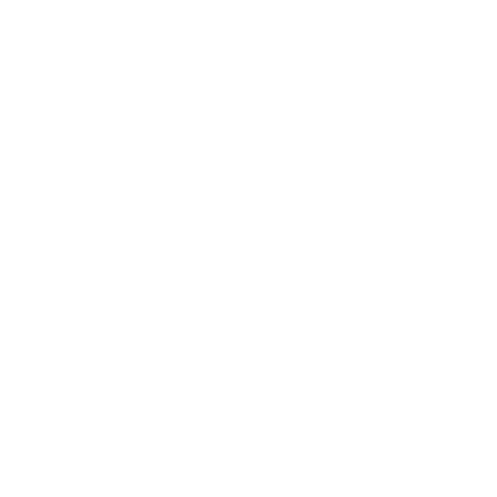 Fido's