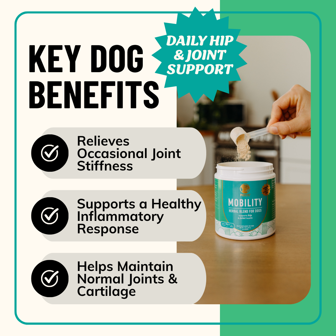 Mobility Herbal Blend