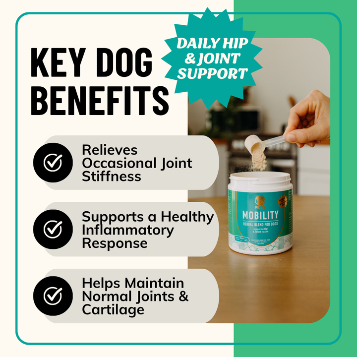 Mobility Herbal Blend