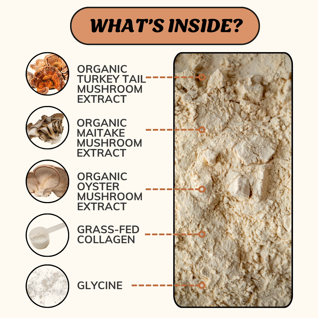 Longevity Mushroom Blend for Dogs