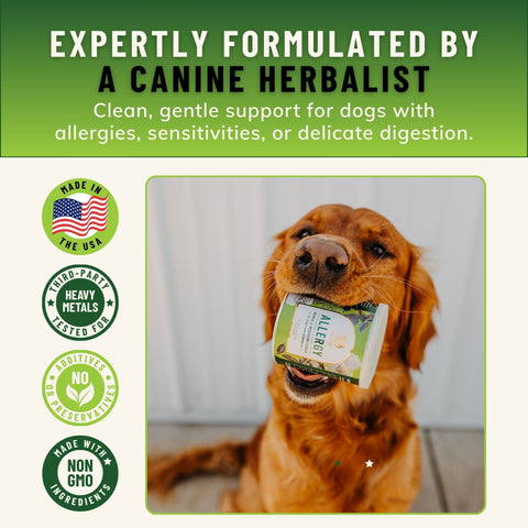 Allergy Support for Dogs