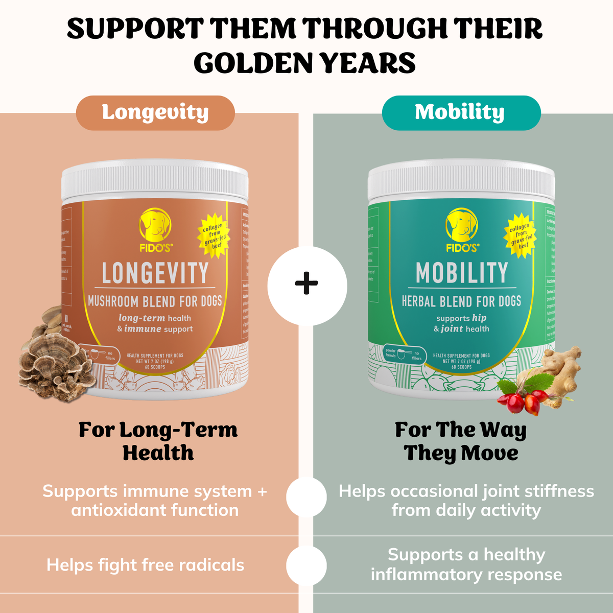 Senior Dog Wellness Bundle