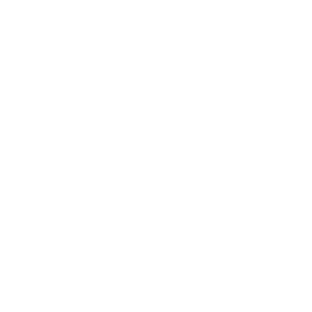 Fido's