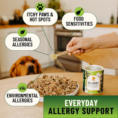 Allergy Support for Dogs