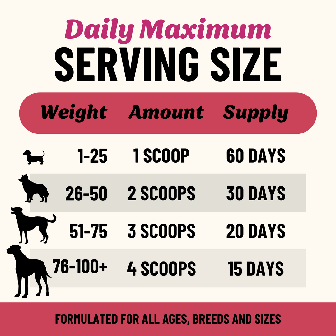 Digestion Herbal Blend for Dogs