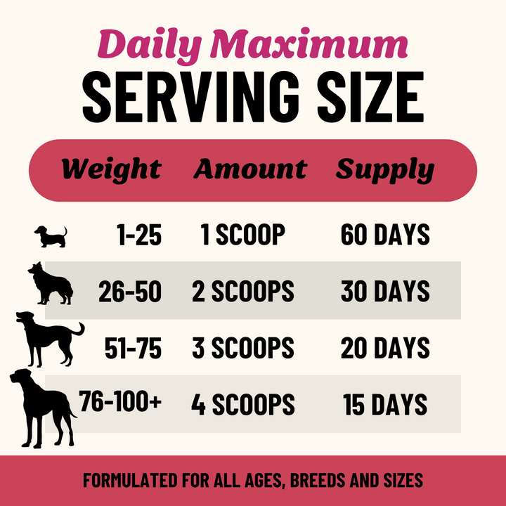Digestion Herbal Blend for Dogs