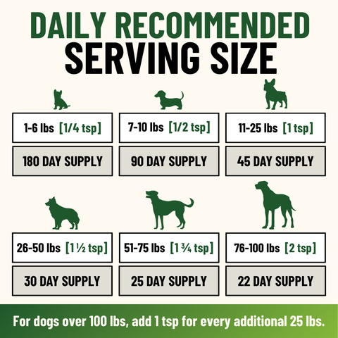 Allergy Support for Dogs