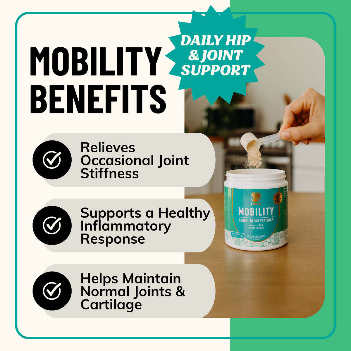 Senior Dog Wellness Bundle