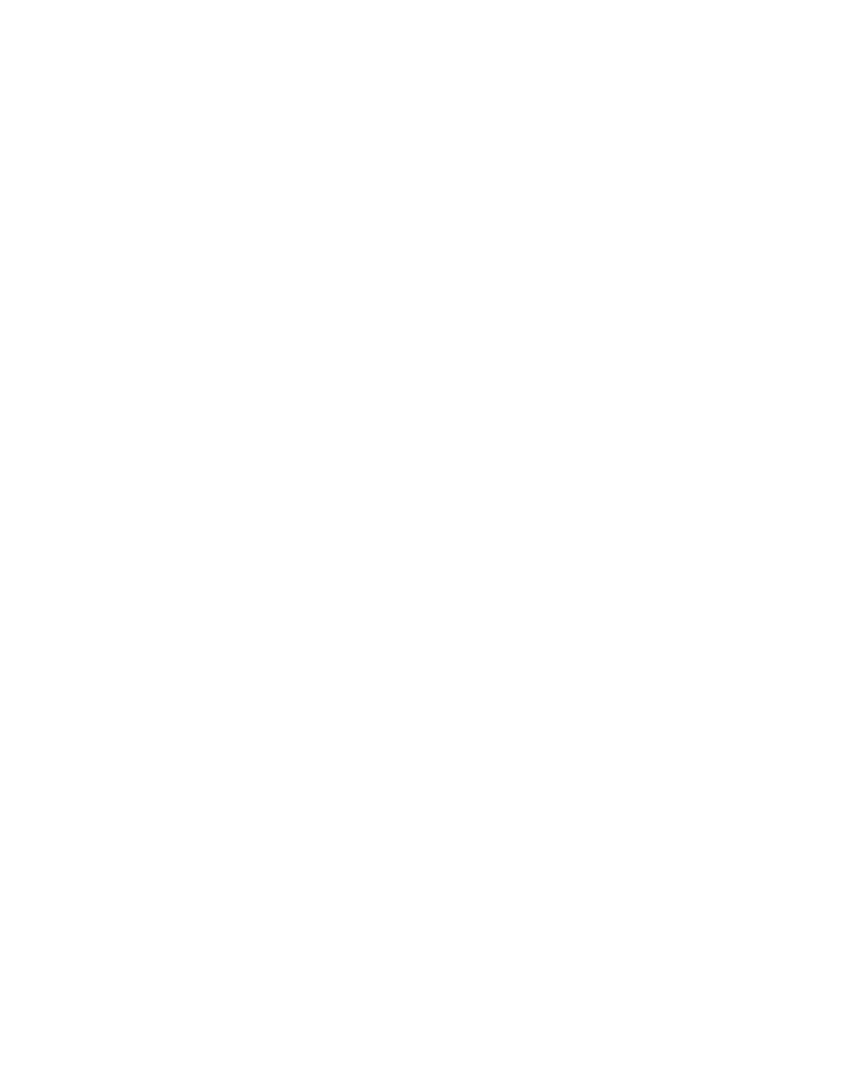 Fido's