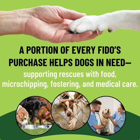 Allergy Support for Dogs