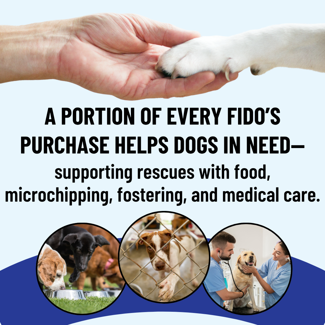 Omega-3 Fish Oil for Dogs