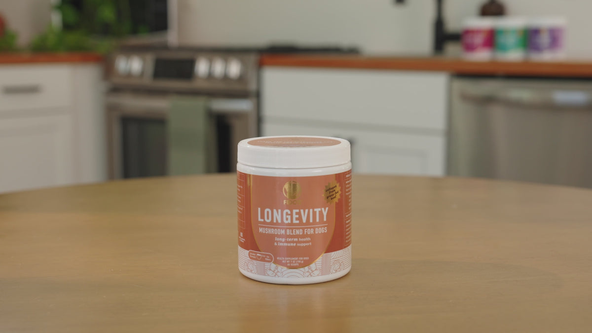 Longevity Mushroom Blend for Dogs