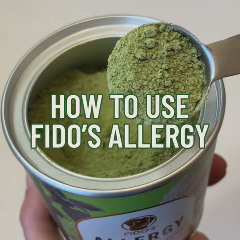 Allergy Support for Dogs